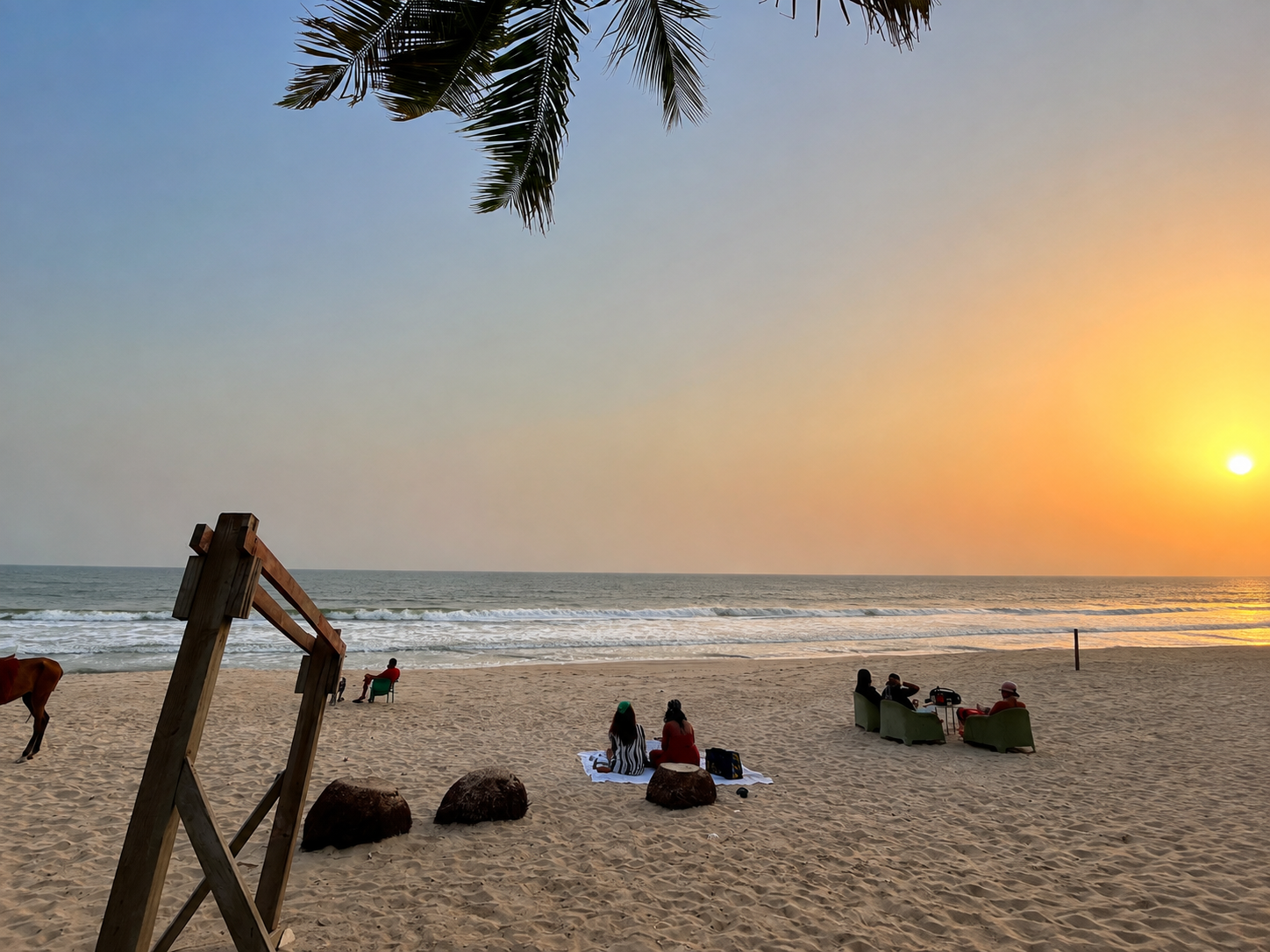 Guests on the sand under palm fronds at sunset