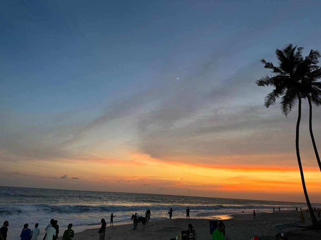 Sunset over the beach with palm trees and guests by the water